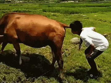 359_269gif 动态图 动图