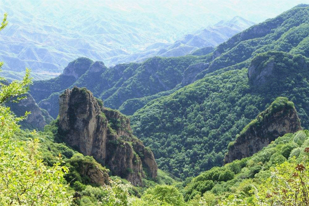 大茂山