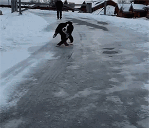 先来个简单的滚雪球 ⊙注:文章配图来源于网络.