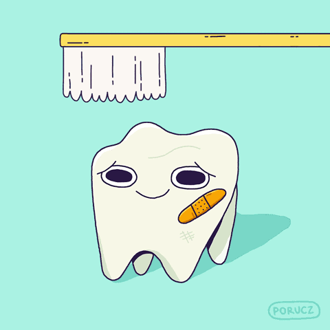 最后的洗牙看起来又爽又恶心.