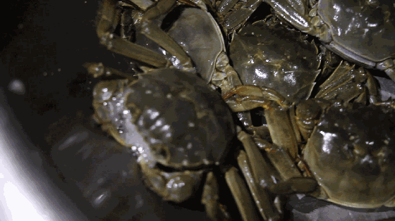 无锡冰冻螃蟹价格