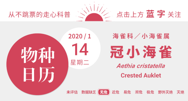 有妹撩妹,无妹防虫,鸟儿的橘味香水这么神奇呢?| 果壳