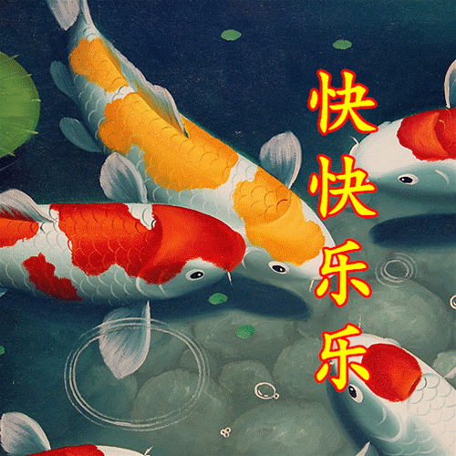 大年初九,送你转运锦鲤图,祝你时来运转!