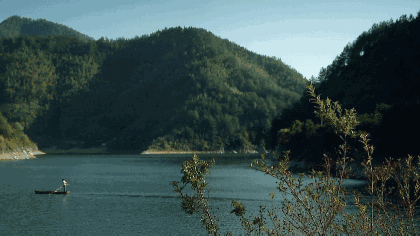 哇好凉爽家里竟吹起了山野清风