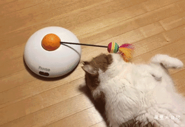 640?wx_fmt=gif&tp=webp&wxfrom=5&wx_lazy=