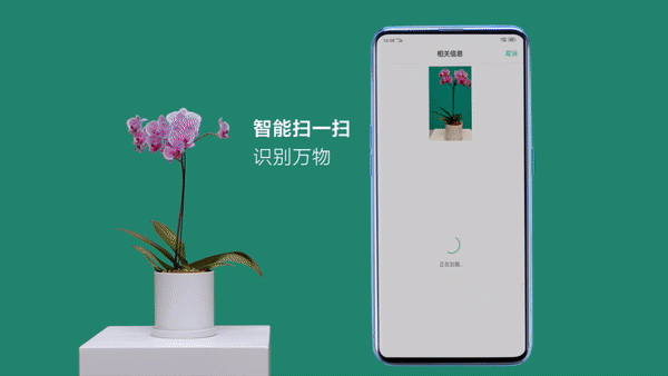 内容提取,图像优化,场景服务,信息查询等多方位万物识别