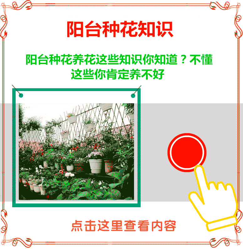 两个月女婴长出男.性器官,只因妈妈怀孕时经常做这件事