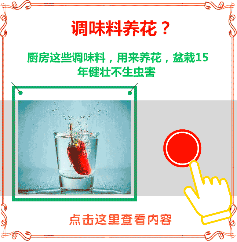 两个月女婴长出男.性器官,只因妈妈怀孕时经常做这件事