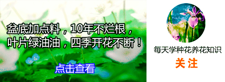 这21款宝宝毛衣实在太萌了,都想生个二胎玩了!尾部附教程