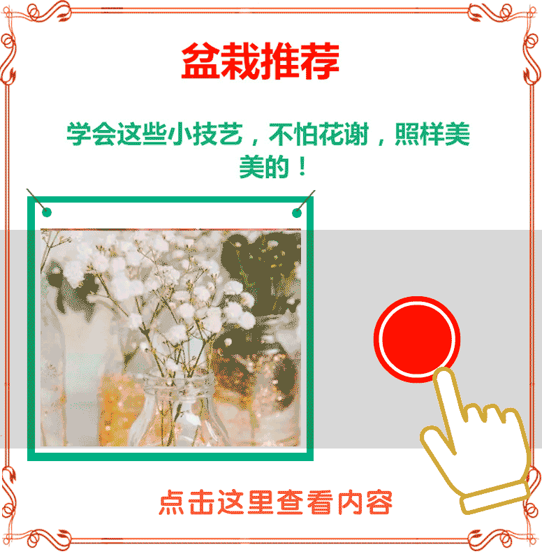 两个月女婴长出男.性器官,只因妈妈怀孕时经常做这件事