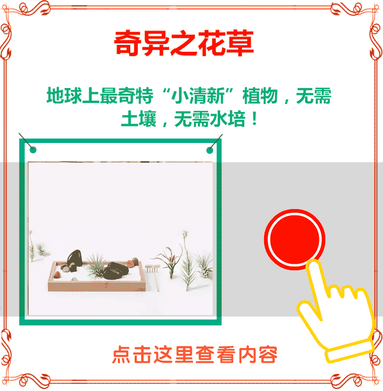 两个月女婴长出男.性器官,只因妈妈怀孕时经常做这件事