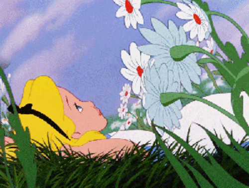 清晨睁开双眼,看到早晨的露水洒在每一片小草的叶子上, 犹如给绿色蒙