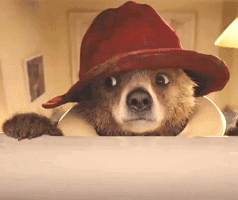 341_287gif 动态图 动图