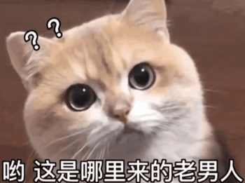 抖音热门表情包昨晚梦见你刚要跟你亲热