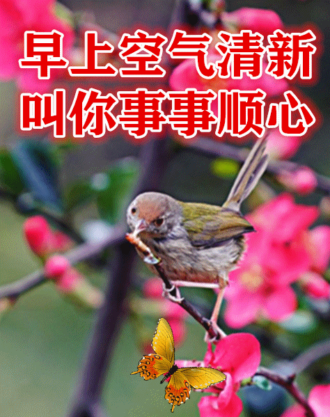 4月26日最漂亮早上好动态表情图片大全早晨好动图美图大全