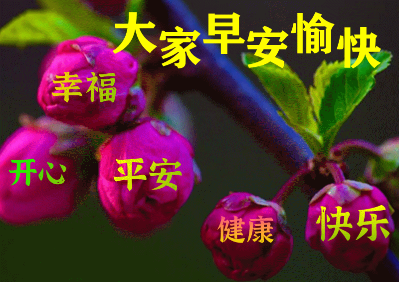 6月22日最漂亮早上好动态表情图片大全早晨好动图美图大全