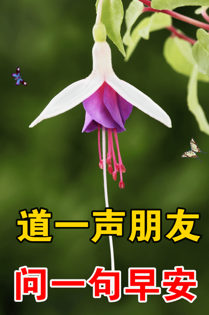 4月12日最漂亮早上好动态表情图片大全早晨好动图美图大全