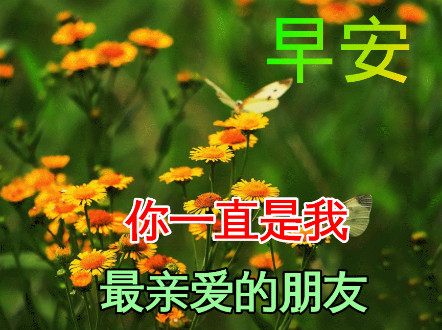 12月19日早上好动态表情图片大全早晨好动图美图大全