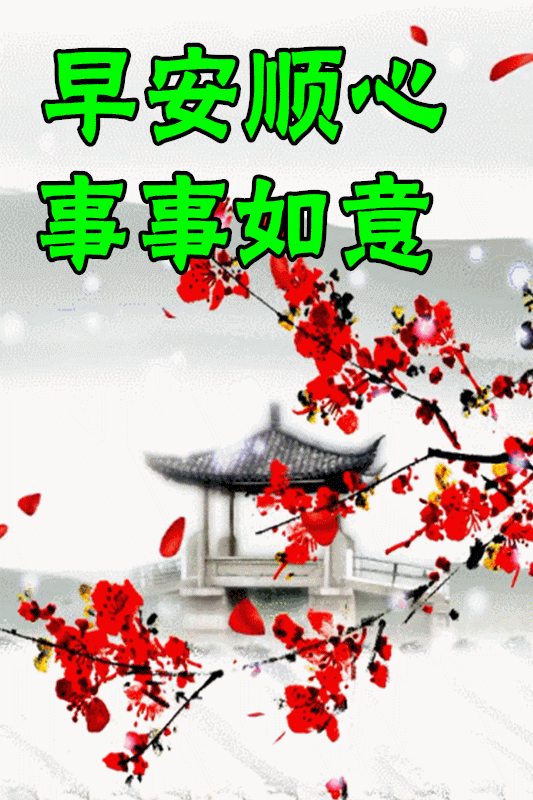 533_800 竖版 竖屏