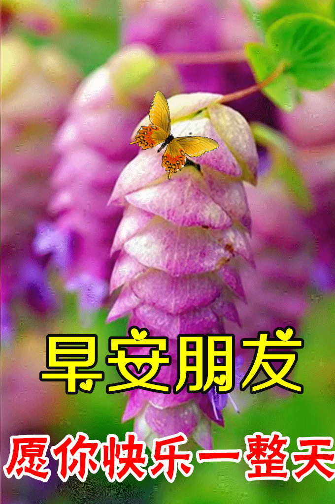 4月18日最漂亮早上好动态表情图片大全早晨好动图美图大全