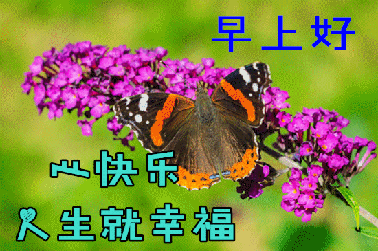 5月10日最漂亮早上好动态表情图片大全早晨好动图美图大全