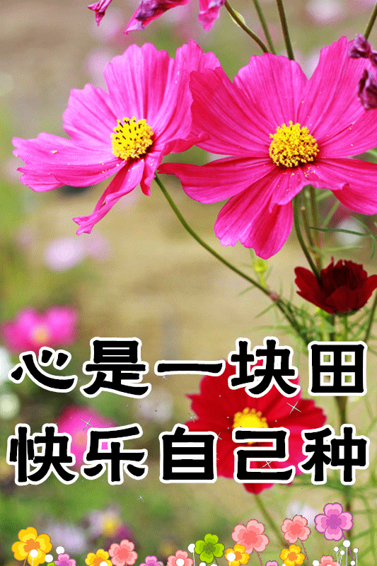 1月18日最漂亮早上好动态表情图片大全早晨好动图美图大全