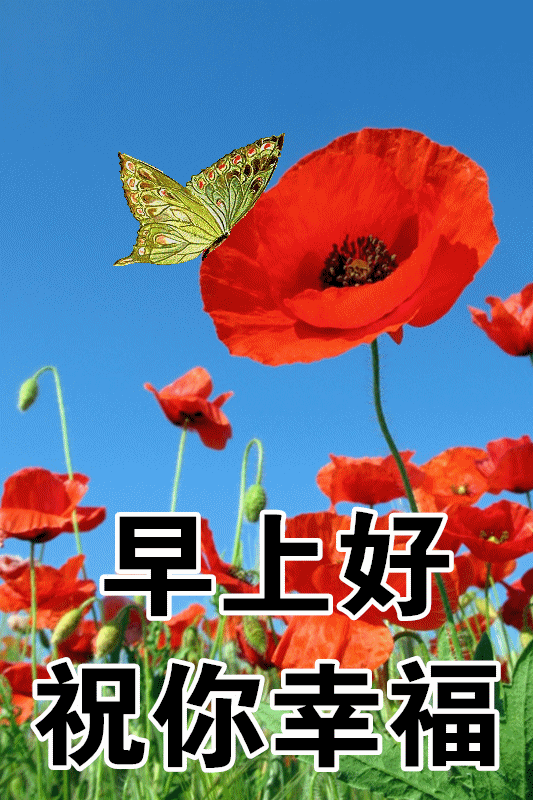 1月18日最漂亮早上好动态表情图片大全早晨好动图美图大全