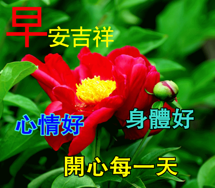 12月28日早上好动态表情图片大全早晨好动图美图大全