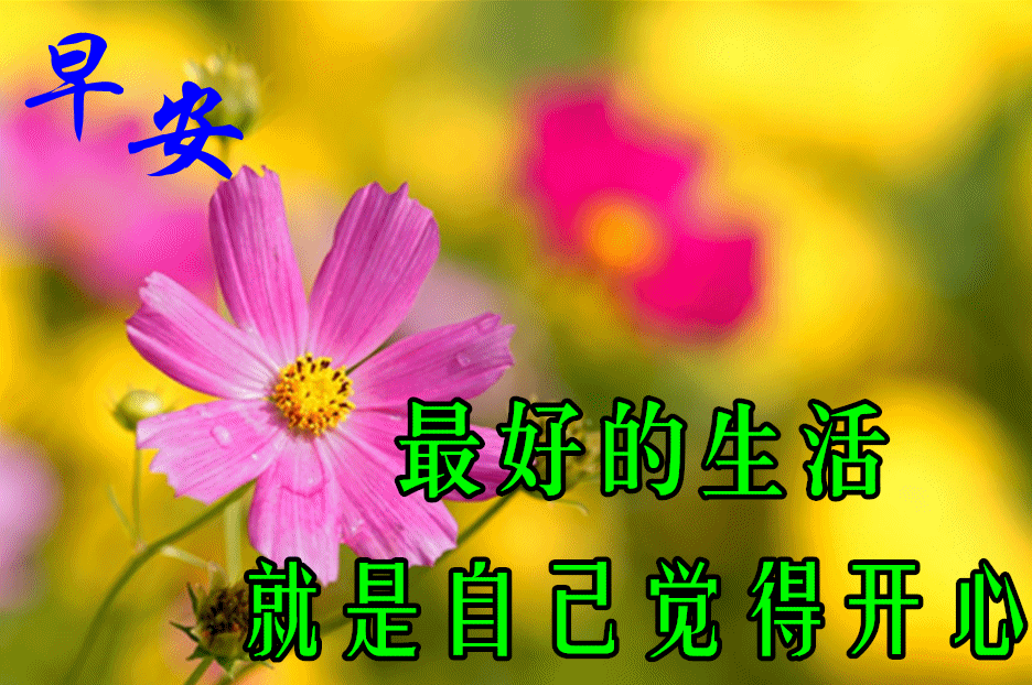 8月20日最漂亮早上好动态表情图片大全早晨好动图美图大全