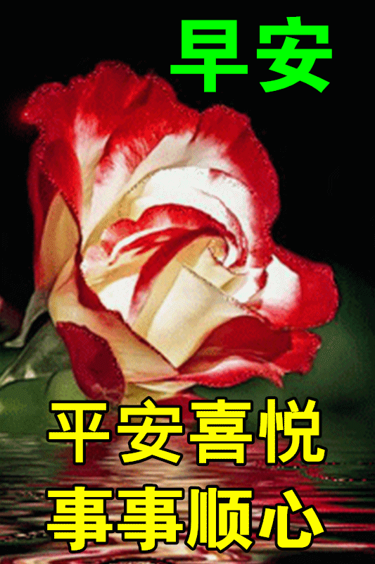 1月30日最漂亮早上好动态表情图片大全早晨好动图美图大全