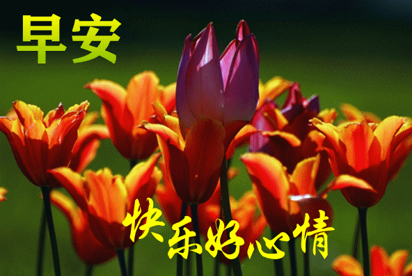 7月6日最漂亮早上好动态表情图片大全早晨好动图美图大全