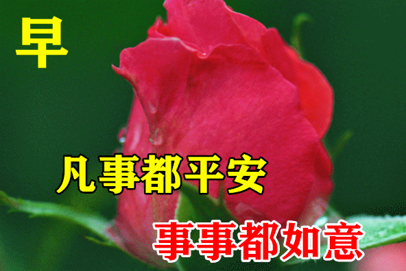 7月6日最漂亮早上好动态表情图片大全早晨好动图美图大全