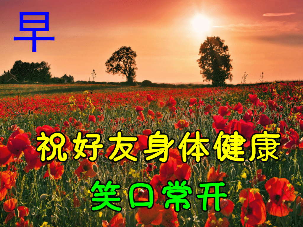 12月25日早上好动态表情图片大全早晨好动图美图大全