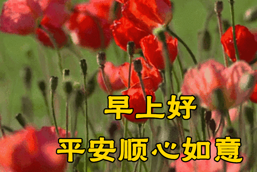 2月16日早上好祝福语图片大全问候动态表情图片大全