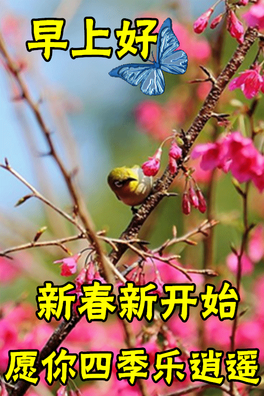 2月4日大年初四早上好动态表情图片大全早晨好动图美图大全