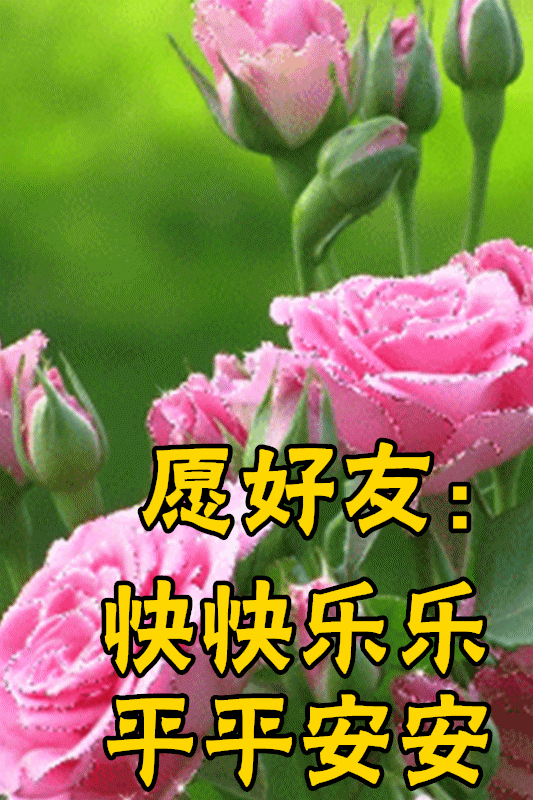 2月2日最漂亮早上好动态表情图片大全早晨好动图美图大全