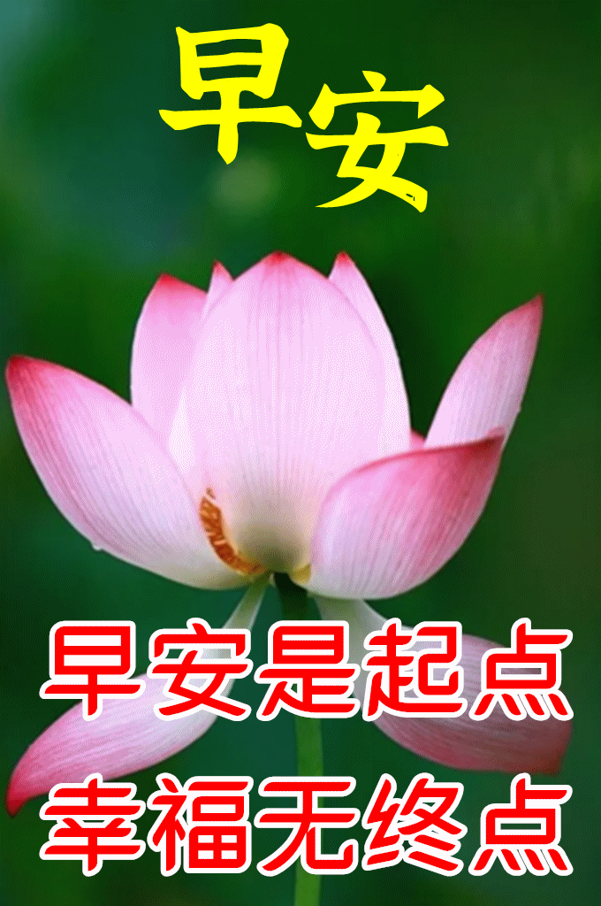 4月30日最漂亮早上好动态表情图片大全早晨好动图美图大全