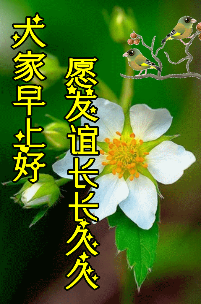 4月30日最漂亮早上好动态表情图片大全早晨好动图美图大全