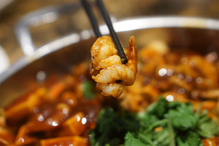 臣 得到祖父黄钰玖的亲传, 黄杰臣后人黄振欧先生系我国著名营养学家