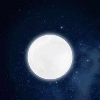 今年15的月亮17圆,嫦娥会到谁的车里来 | 十一图