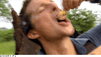 博主大兄弟敢吃的,不知道贝爷敢不敢吃, 贝爷见到他估计都要敬三分.