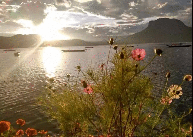 长沙冬日旅行宝典:捕捉丽江湖光山色中的