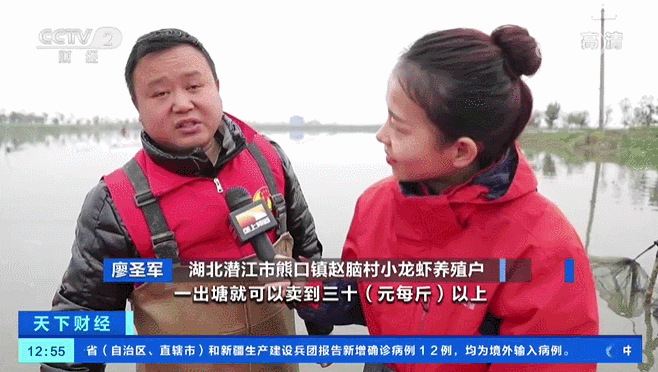湖北潜江市熊口镇赵脑村小龙虾养殖户 廖圣军:如果像这样的虾,一出塘