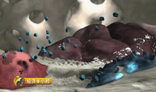 世界最新抗癌藥中國也能造 一年治療費用不超10萬