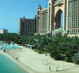 ������ɹ����