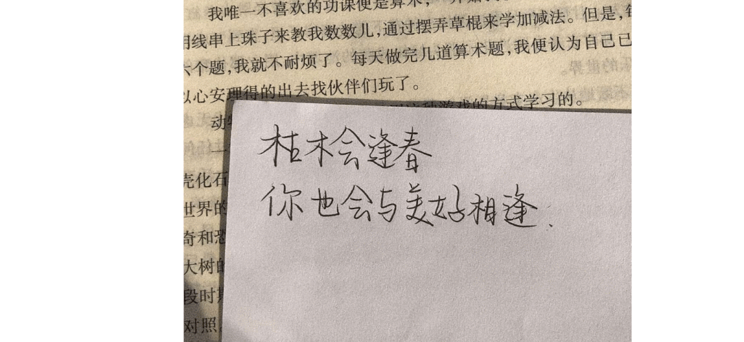 那个最火的ocr工具天若ocr50我给你弄来了开源免费版