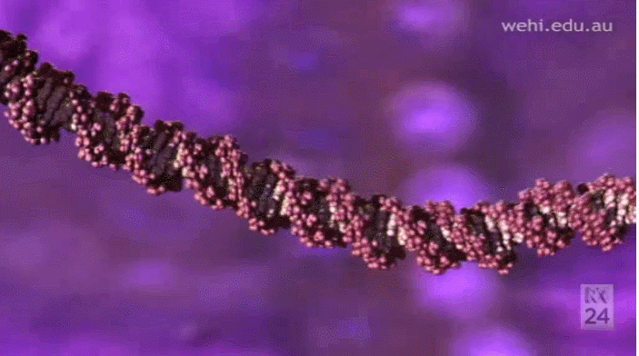 ���ޡ��������ϡ�ҩNMN�����������١���˥�������䡢�ΰ�֢��