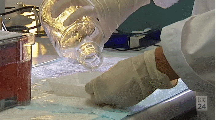 ���ޡ��������ϡ�ҩNMN�����������١���˥�������䡢�ΰ�֢��