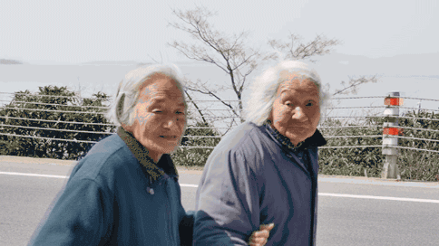 碧螺春茶叶的种植方式特点_碧螺春是一种_碧螺春是什么树种制成的