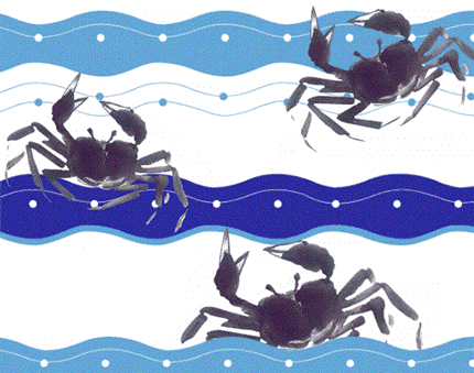 大闸蟹,您买对了吗?|无锡冰冻螃蟹